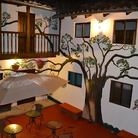 Tucan Hostel